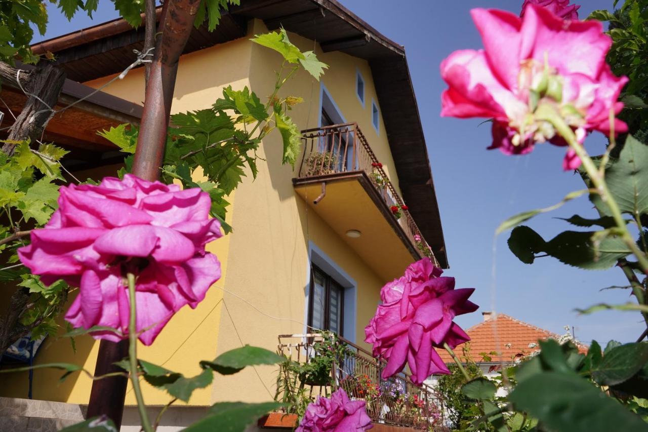 Appartement Etnobubi à Novi Sip Extérieur photo