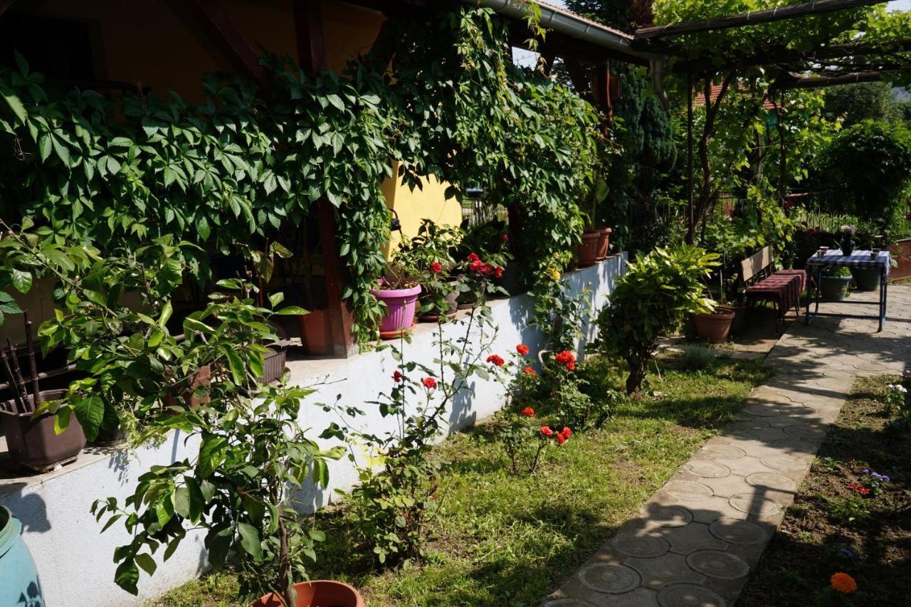 Appartement Etnobubi à Novi Sip Extérieur photo