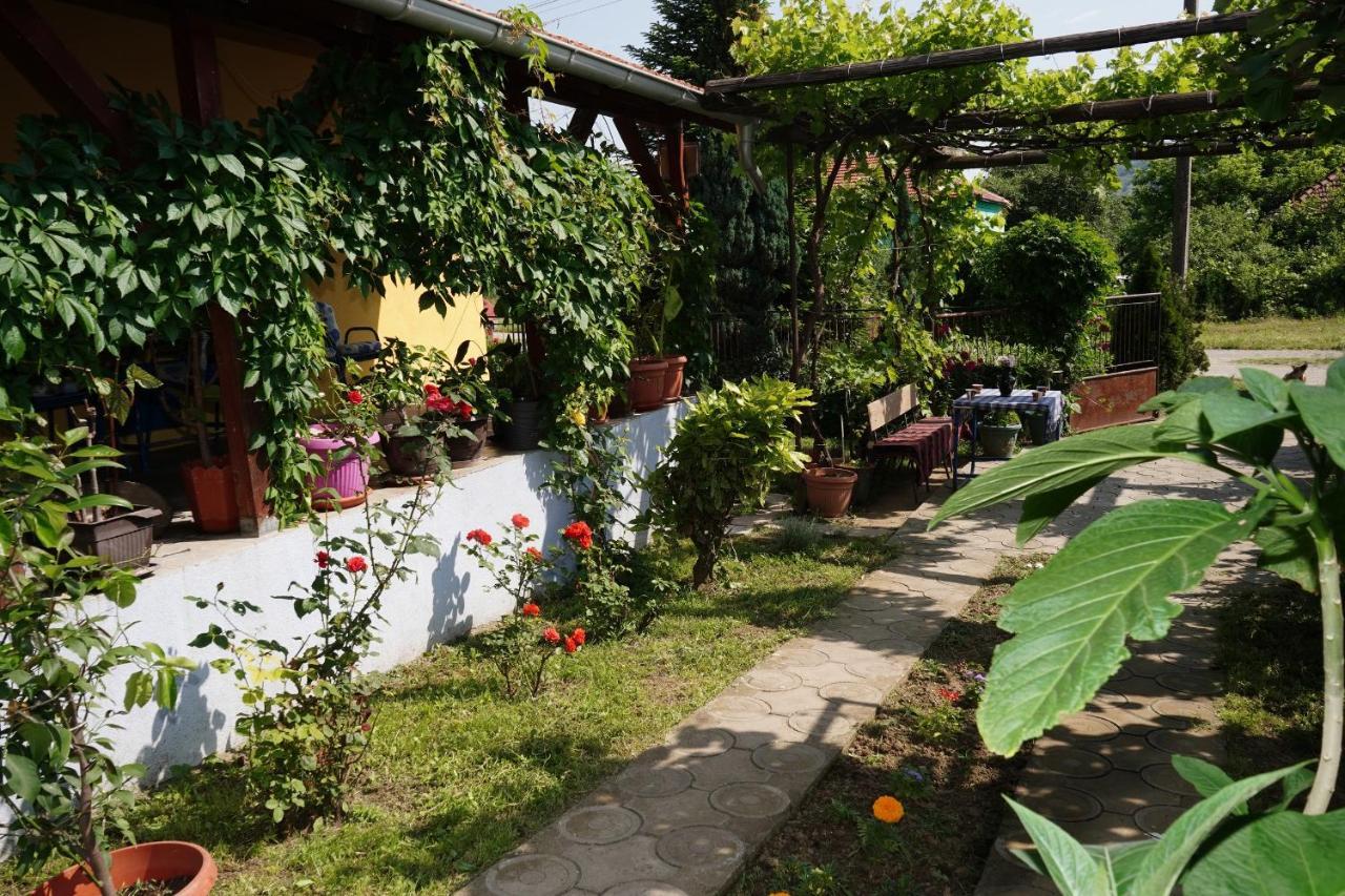 Appartement Etnobubi à Novi Sip Extérieur photo