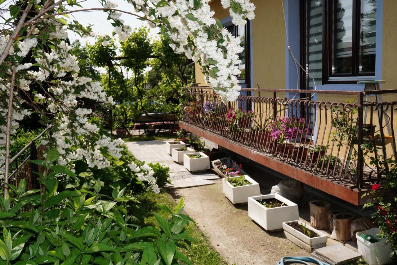 Appartement Etnobubi à Novi Sip Extérieur photo