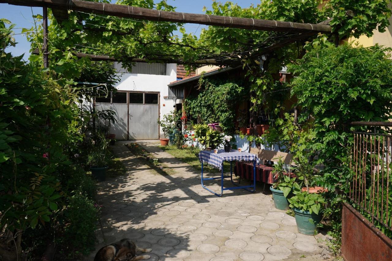 Appartement Etnobubi à Novi Sip Extérieur photo